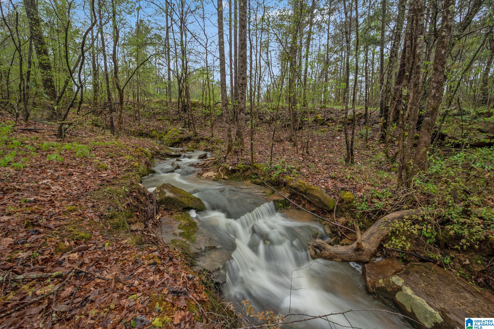 2506 Shipp Road Hayden, AL 35079 - Photo 2 of 50 Gallery Image 2