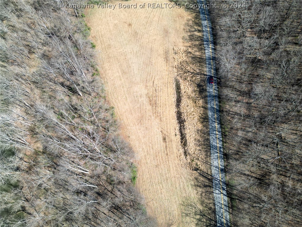 Parcel C Roach Road Salt Rock, WV 25559 - Photo 6 of 8 Gallery Image 6