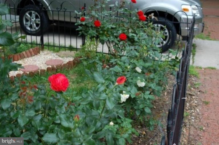 539 3rd Street Northeast Washington, DC 20002 - Photo 4 of 29 a picture of flowers in front of a house