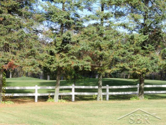 9550 Dice Freeland, MI 48623 - Photo 2 of 6 20036838-1.JPG