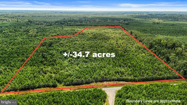 $255,000 | Sparta Road, Milford, VA 22514