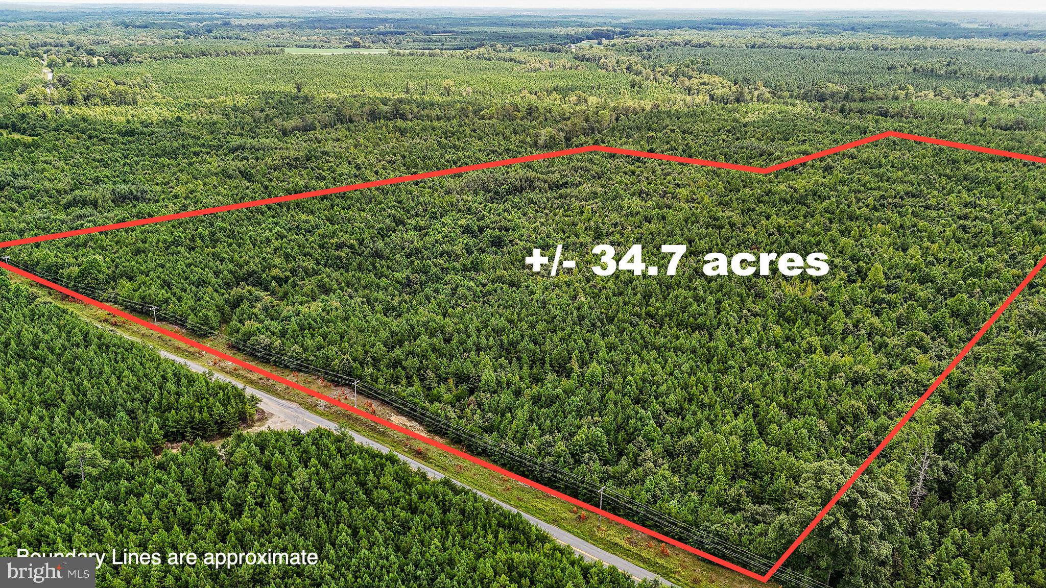 Sparta Road Milford, VA 22514 - Photo 2 of 5