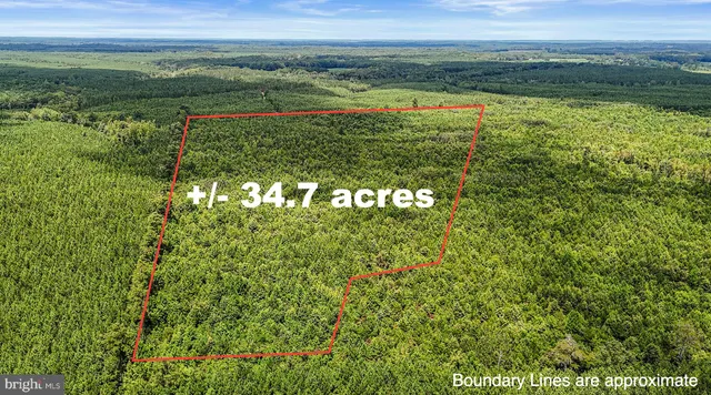 a view of an outdoor space and a lake view