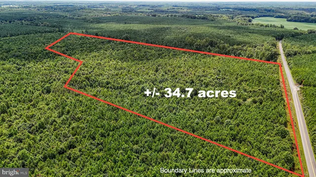 a view of a lush green field