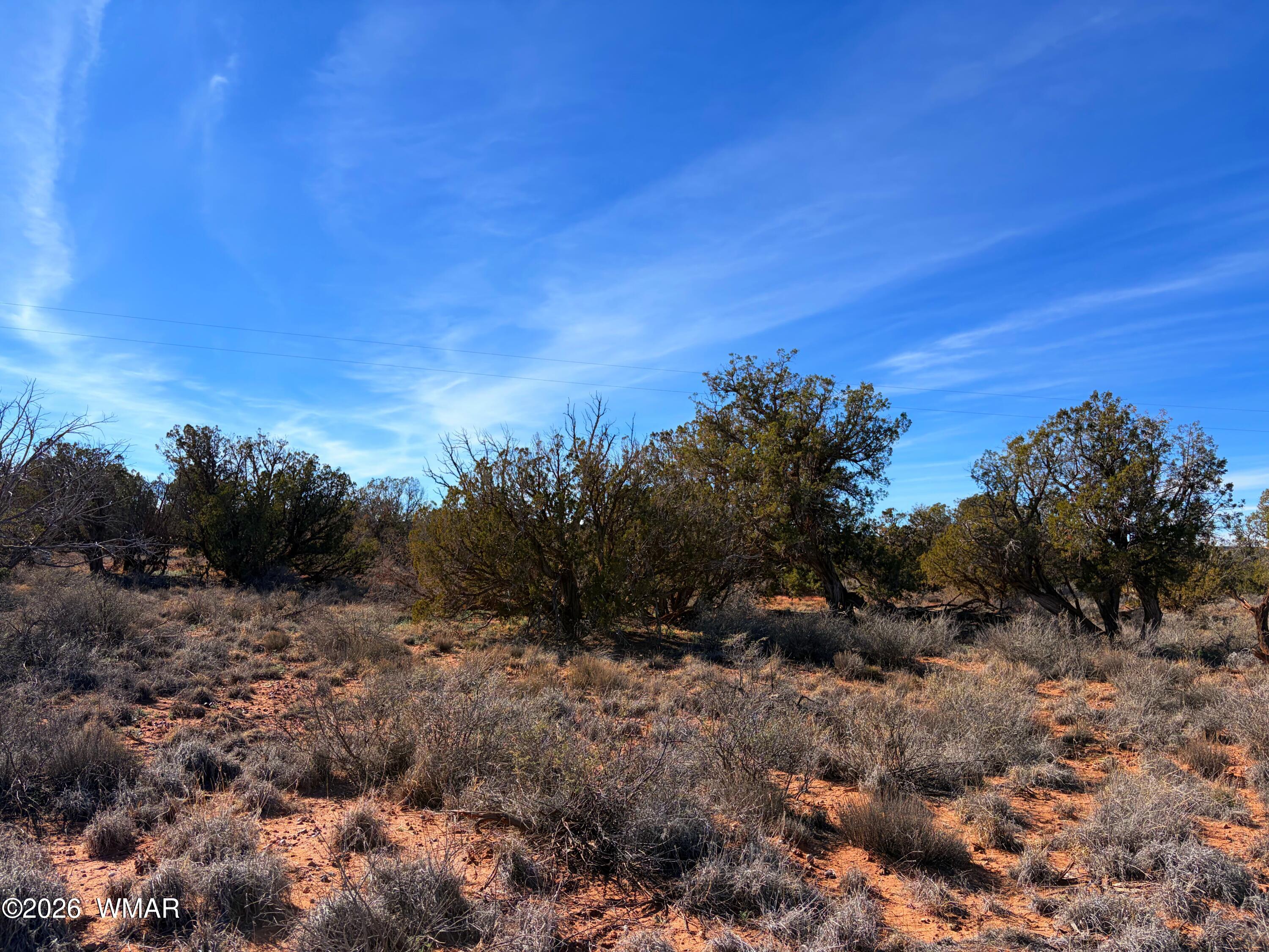 4125 Sorrel Road Snowflake, AZ 85937 - Photo 5 of 10 IMG_2197