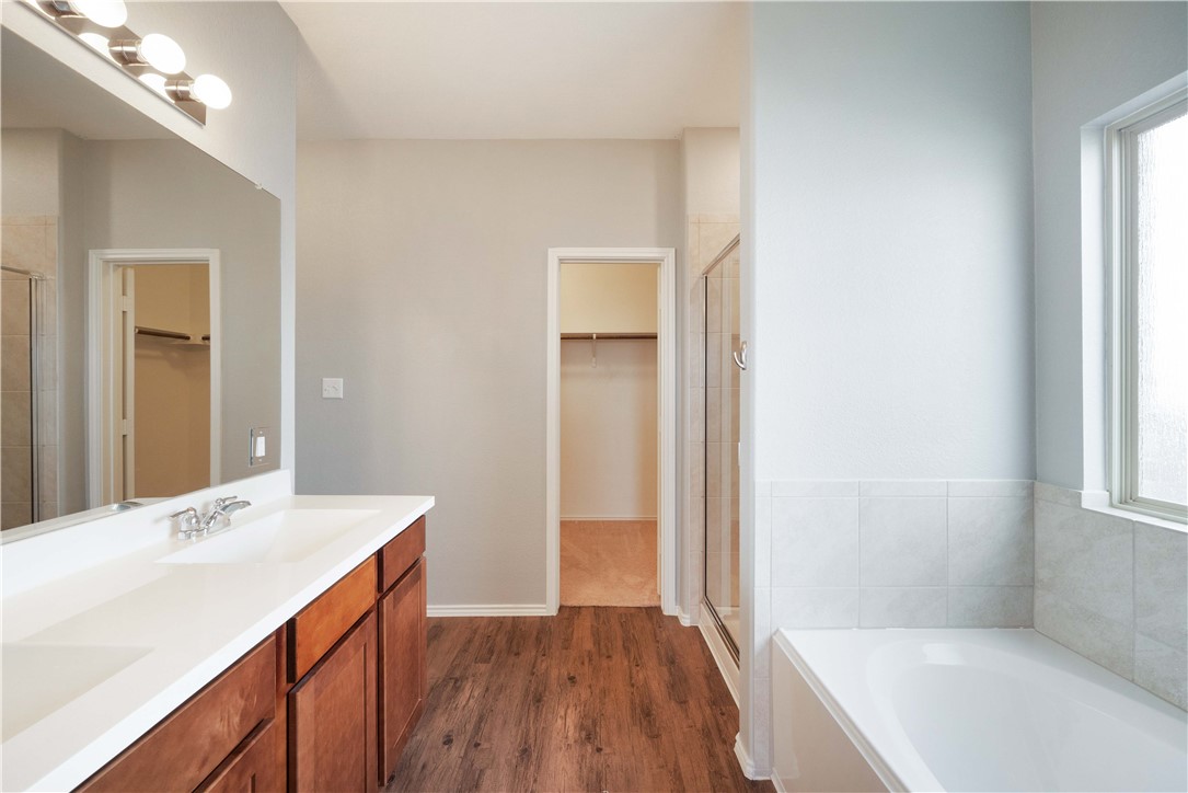 820 Kates Way Hutto, TX 78634 - Photo 15 of 30 a bathroom with a sink a mirror and a bathtub