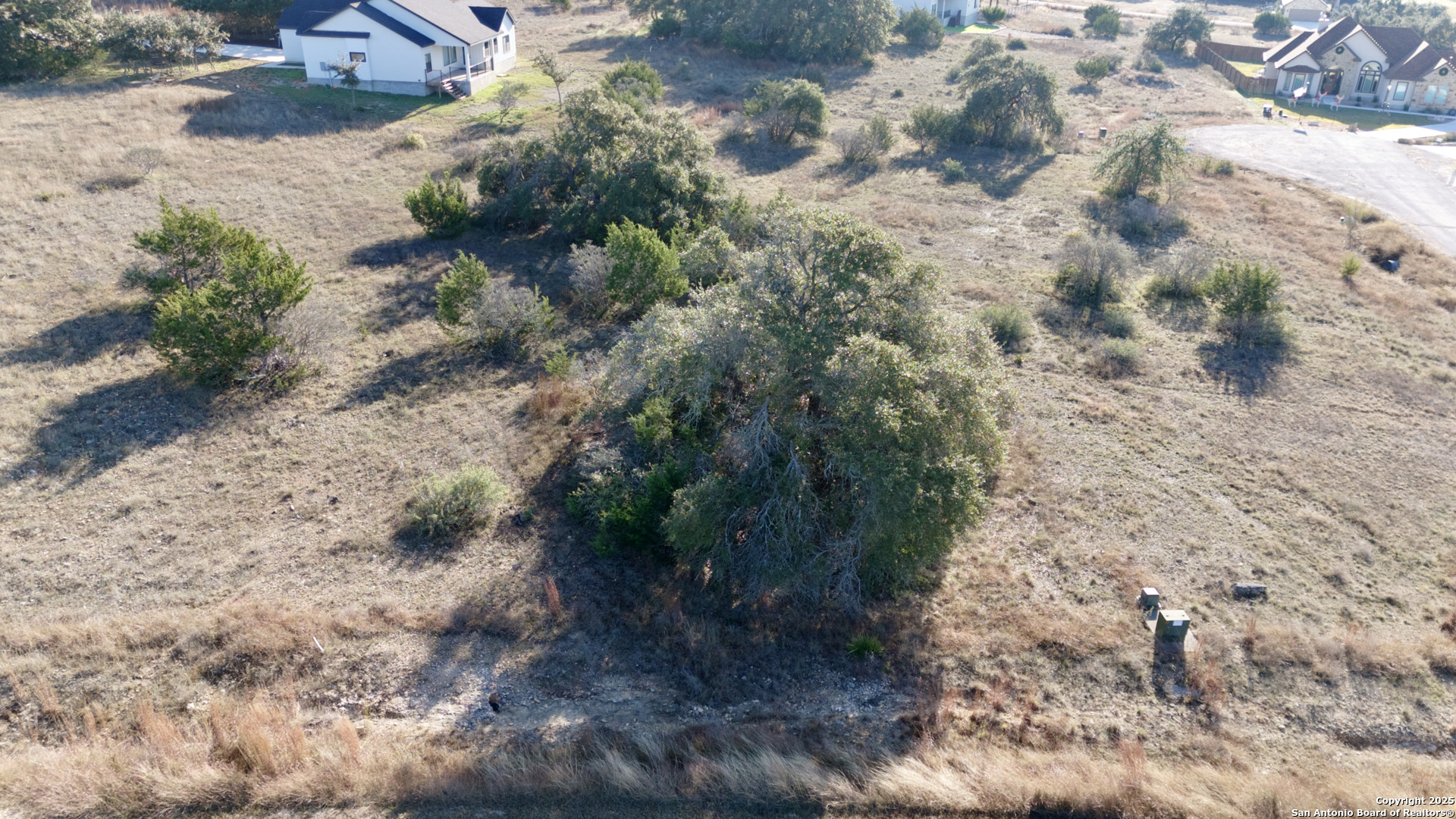213 George Dolson Blanco, TX 78606 - Photo 3 of 10 a view of a yard with plants