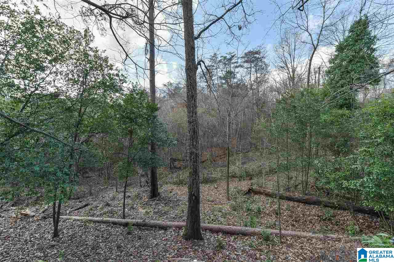 3709 Forest Run Road Birmingham, AL 35223 - Photo 4 of 49