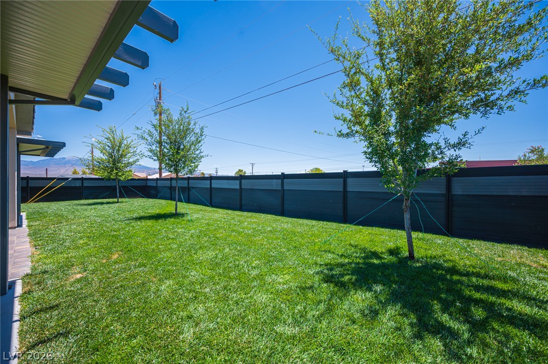 441 Belville Road Pahrump, NV 89048 - Photo 34 of 44 A pristine lawn stretches to a modern privacy fence, perfect for outdoor leisure.