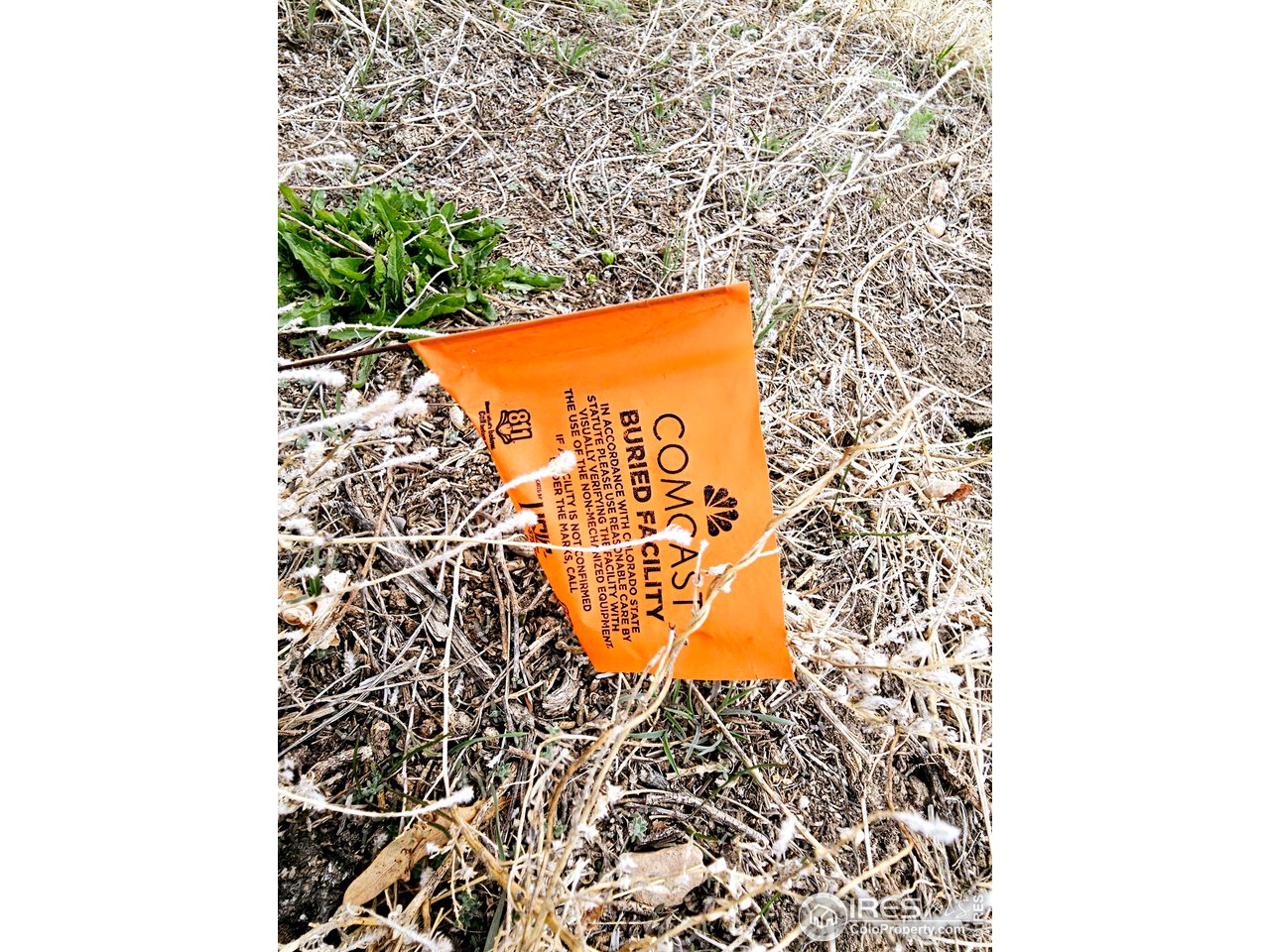 829 Nicole Road Sterling, CO 80751 - Photo 8 of 14 Flag in ground at the property