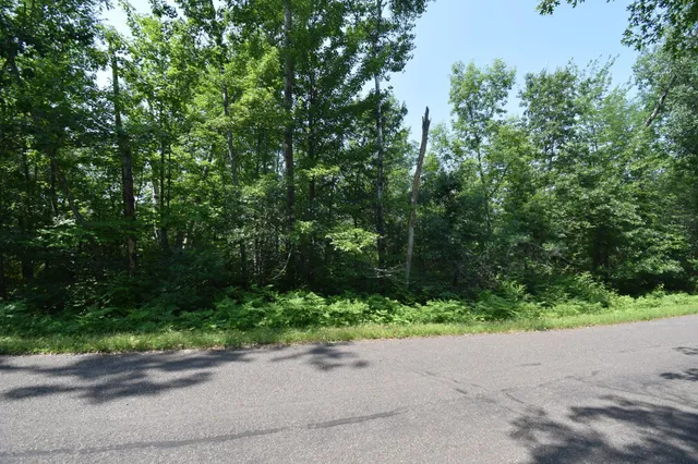 $124,900 | 332-xx Big McGraw Lake Road, Danbury, WI 54830