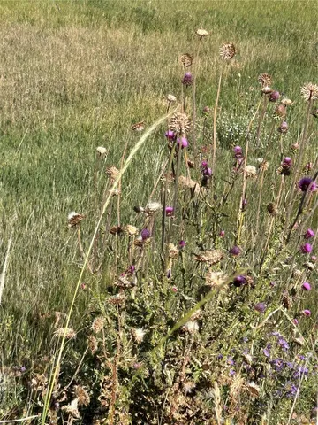 a sign board with view of lake