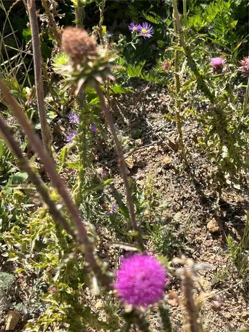 $31,000 | South 1st Street, Cripple Creek, CO 80813