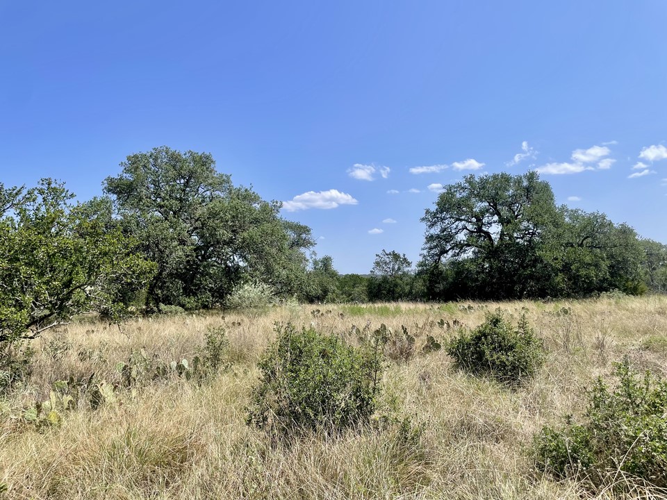 Lot 1 Legacy Ridge Burnet, TX 78611 - Photo 1 of 15