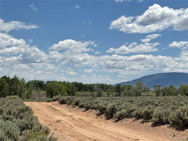 a view of a dry yard with lots of trees