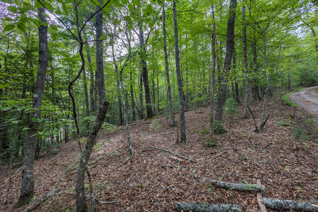 2-ac Horvath Road Murphy, NC 28906 - Photo 9 of 12