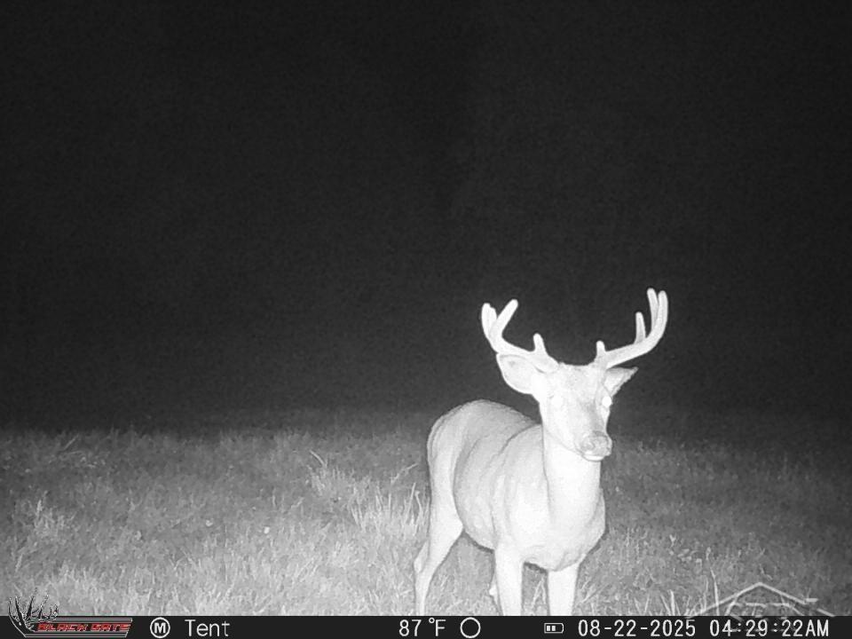 247 5 Mile Road Midland, MI 48640 - Photo 27 of 34 Gallery Image 27