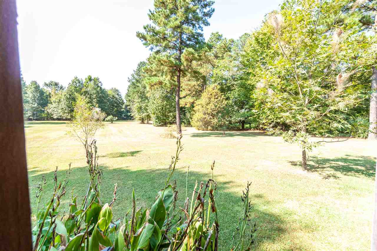 253 Germantown Road Madison, MS 39110 - Photo 40 of 41 Photo 43