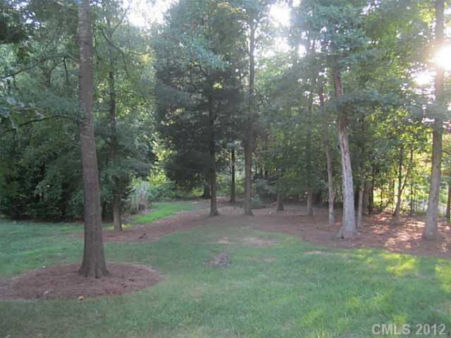 10126 Paradise Ridge Road Charlotte, NC 28277 - Photo 14 of 16 Gallery Image 14