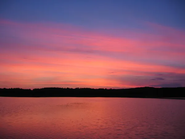 $849,900 | 23319 Maple Shores Road, Deerwood, MN 56444