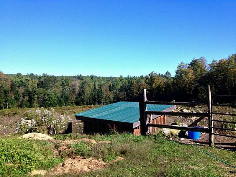 219 Old Sumner Road Buckfield, ME 04220 - Photo 8 of 14 Yard/Garden.