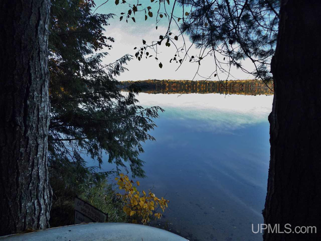 11541 Rams Dam Road Manistique, MI 49854 - Photo 11 of 35 Gallery Image 11