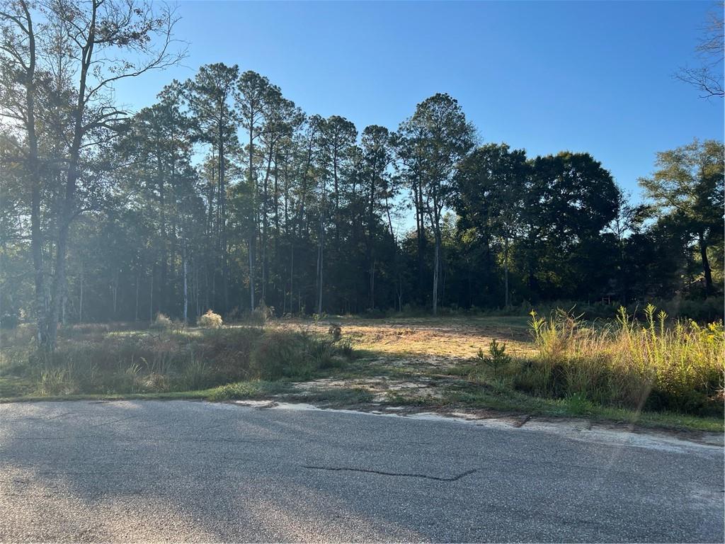 61304 Autumn Ridge Drive Lacombe, LA 70445 - Photo 1 of 17 Gallery Image 1