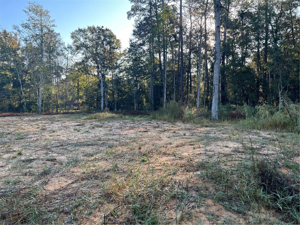 61304 Autumn Ridge Drive Lacombe, LA 70445 - Photo 11 of 17 Gallery Image 11