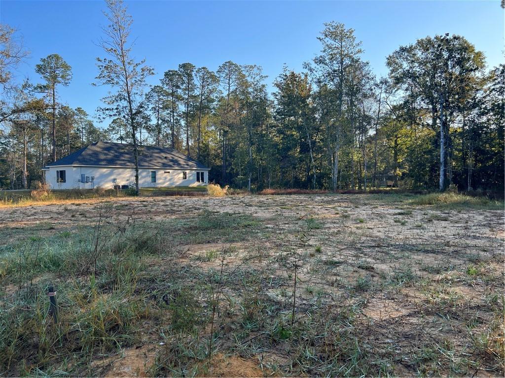 61304 Autumn Ridge Drive Lacombe, LA 70445 - Photo 12 of 17 Gallery Image 12