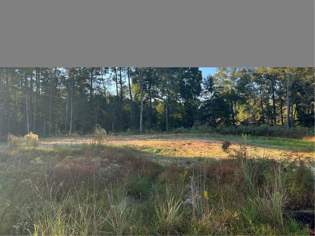61304 Autumn Ridge Drive Lacombe, LA 70445 - Photo 2 of 17 Gallery Image 2
