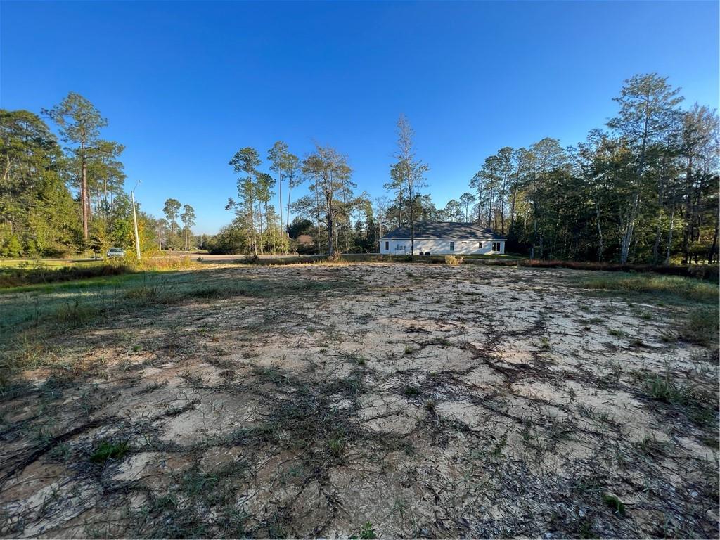 61304 Autumn Ridge Drive Lacombe, LA 70445 - Photo 10 of 17 Gallery Image 10