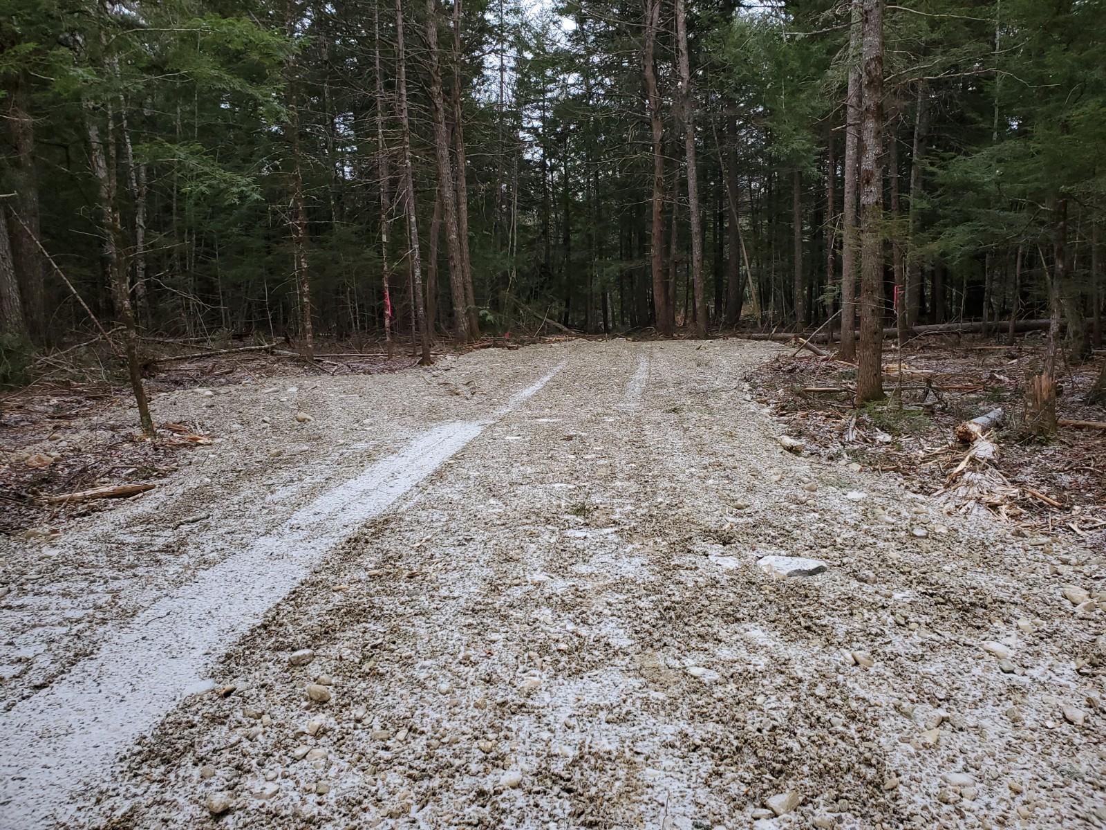 Lot 7 South Haynes Road Wytopitlock, ME 04497 - Photo 3 of 8 20201119_141410