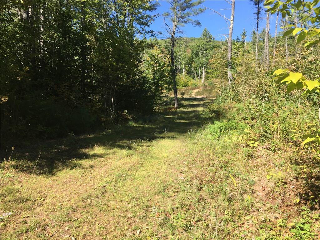 Lot 10 Tripptown Road Hiram, ME 04041 - Photo 2 of 12 Photo
