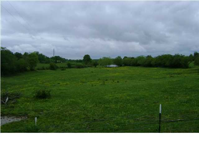 0 County Rd 125 Henagar, AL 35978 - Photo 1 of 3 Primary Photo