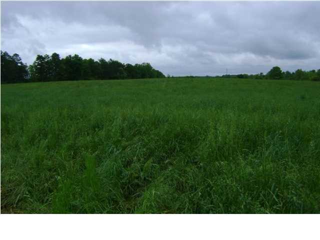 0 County Rd 125 Henagar, AL 35978 - Photo 2 of 3 Additional Photo