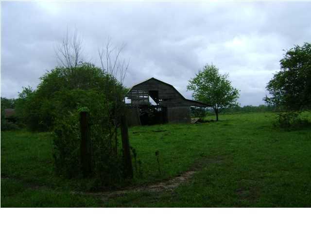 0 County Rd 125 Henagar, AL 35978 - Photo 3 of 3 Additional Photo