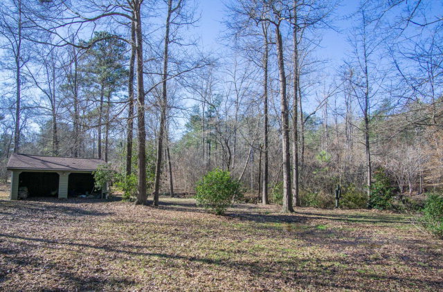 6415 Dobson Road Macon, GA 31220 - Photo 4 of 29 a backyard of a house with plants and trees