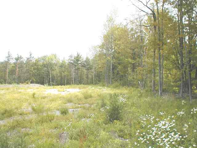 0 Cole Road Delanson, NY 12053 - Photo 3 of 6 Photo 3