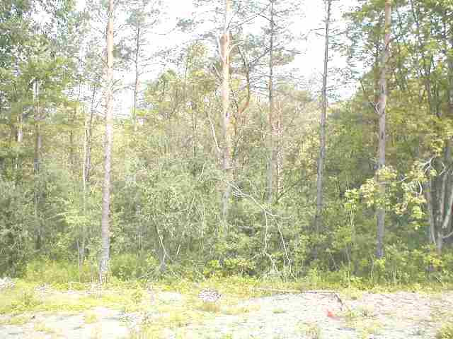 0 Cole Road Delanson, NY 12053 - Photo 5 of 6 Photo 5