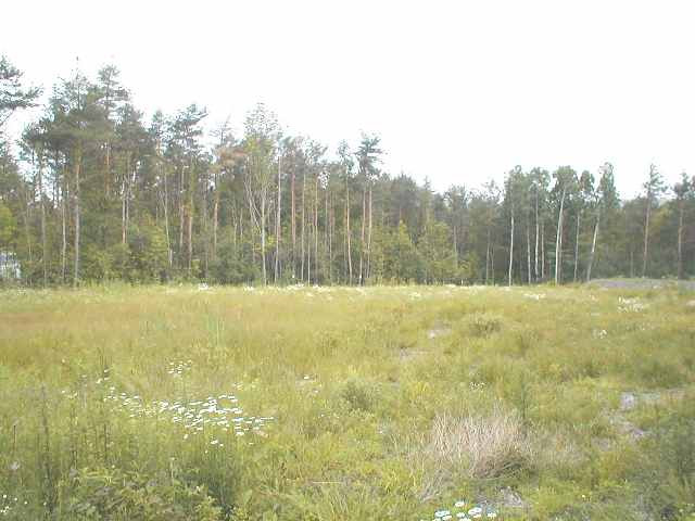 0 Cole Road Delanson, NY 12053 - Photo 6 of 6 Photo 7