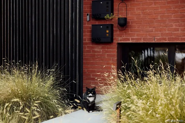 $1,429,000 | 3837 High Street, Denver, CO 80205