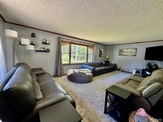 6087 Cyclone Road Otter Lake, MI 48464 - Photo 12 of 33