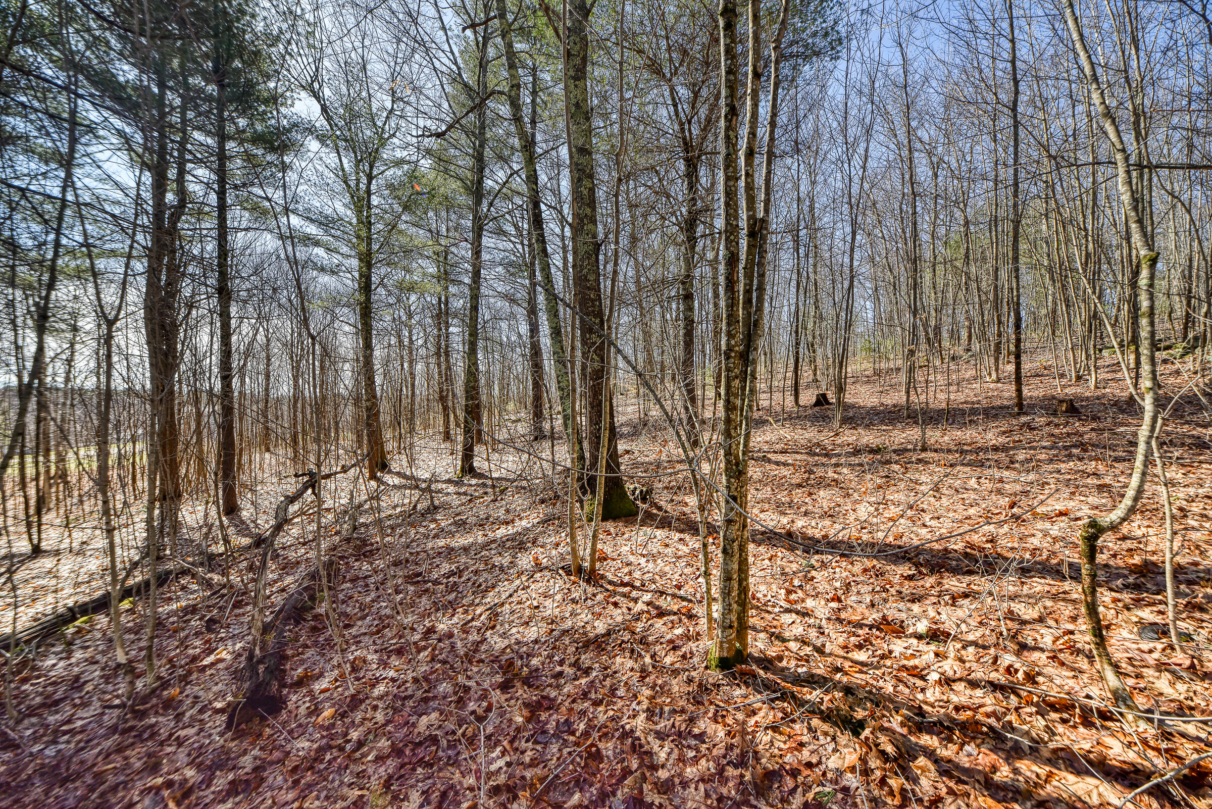 Lot 53-03 Langdon Road Richmond, ME 04357 - Photo 41 of 43 108695gr-126