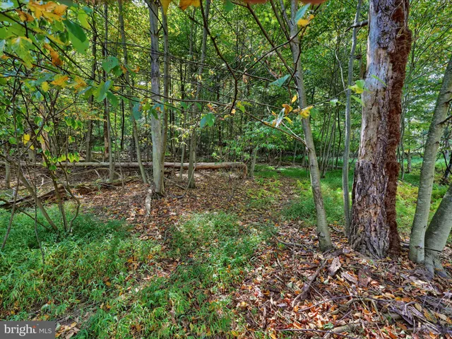 $228,500 | 11 Fir Road, Pottsville, PA 17901