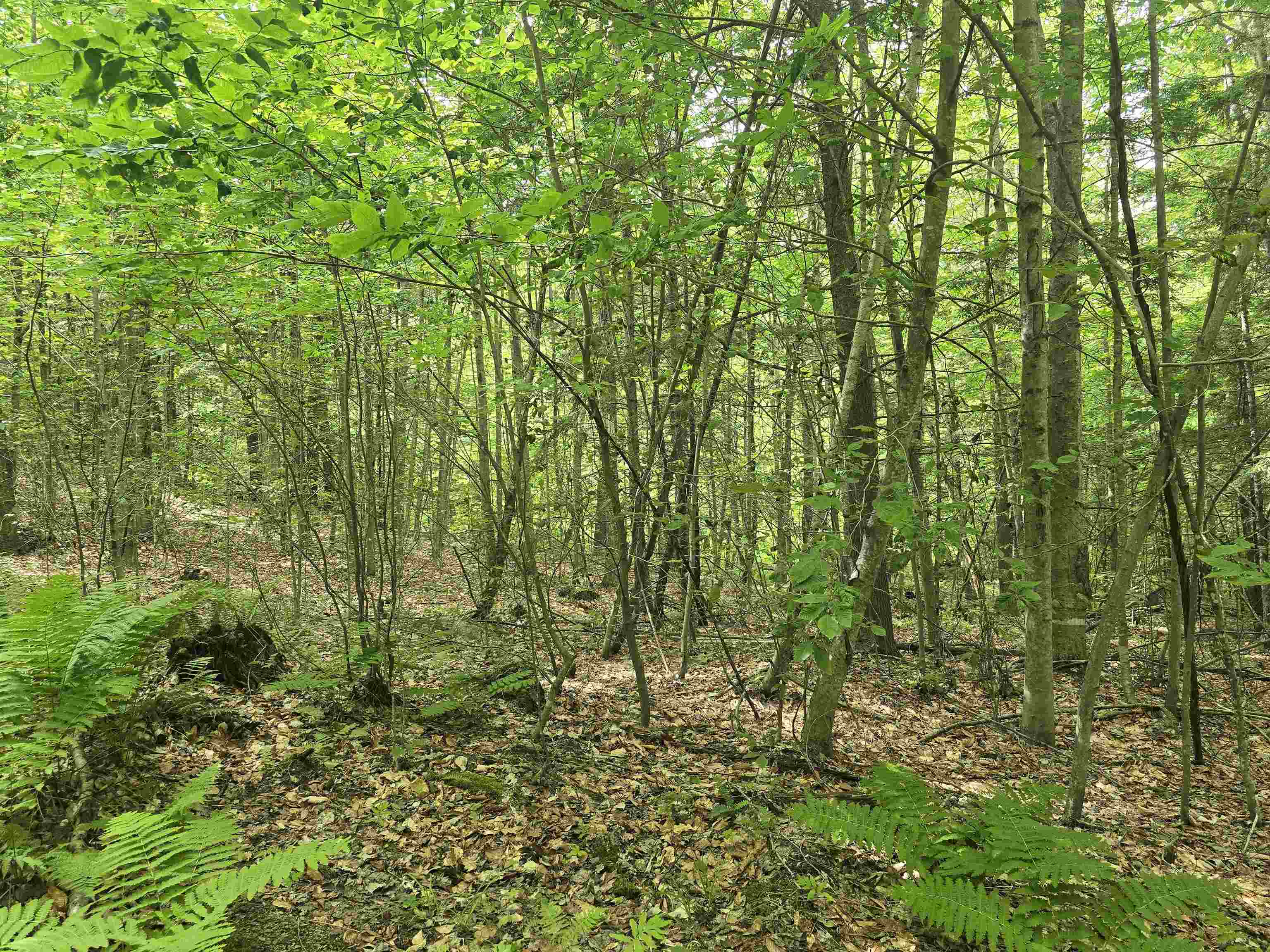 Tbd Farrar Road Chester, VT 05143 - Photo 20 of 24