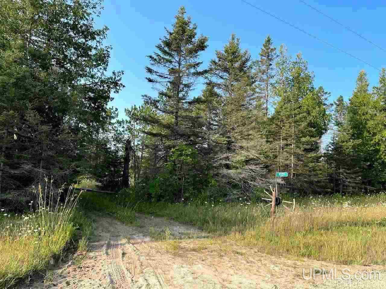 10883 Co Road Rapid River, MI 49878 - Photo 1 of 4