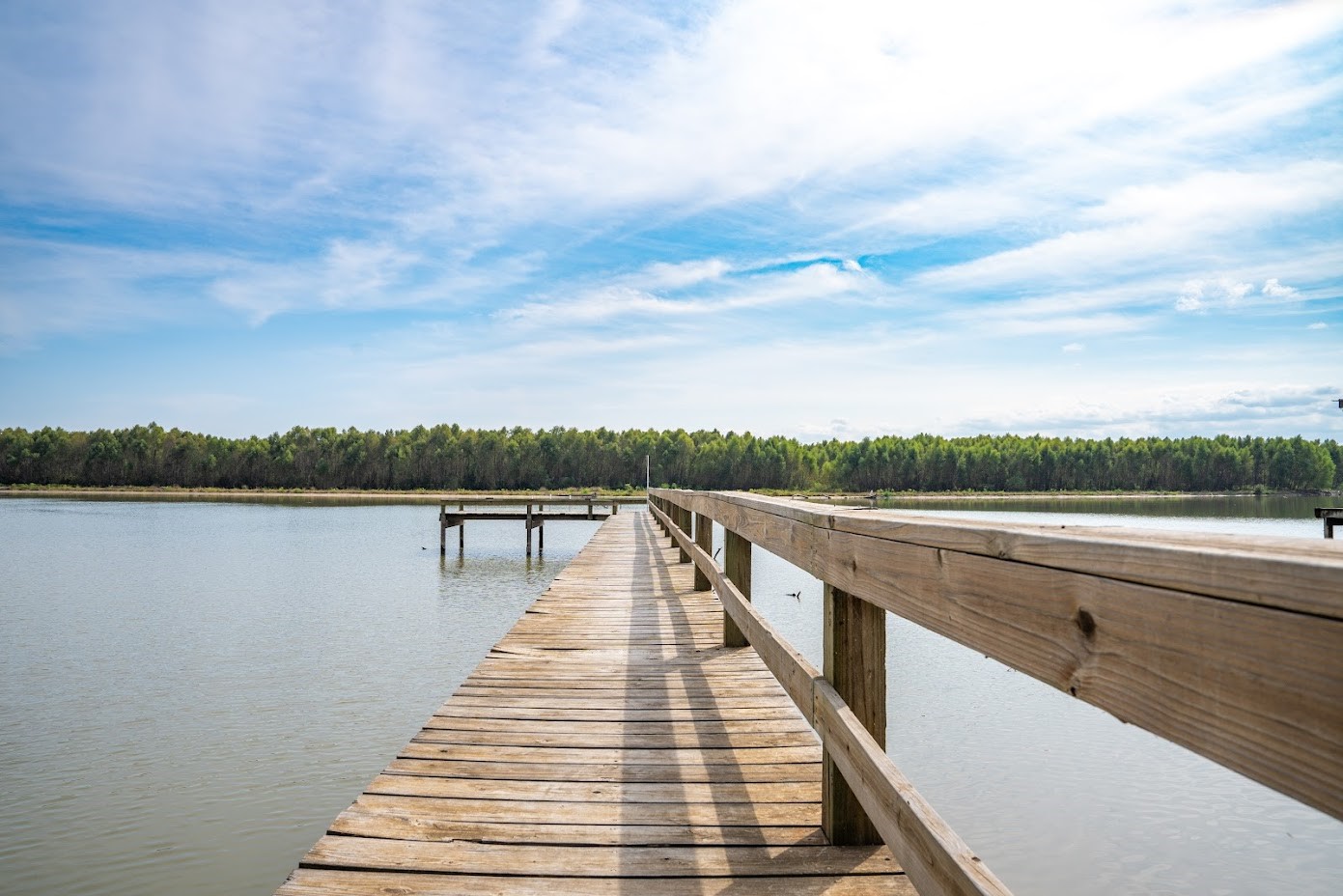 565 Timber Bay Drive Trinity, TX 75862 - Photo 43 of 49 a lake view with wooden floor and lake view