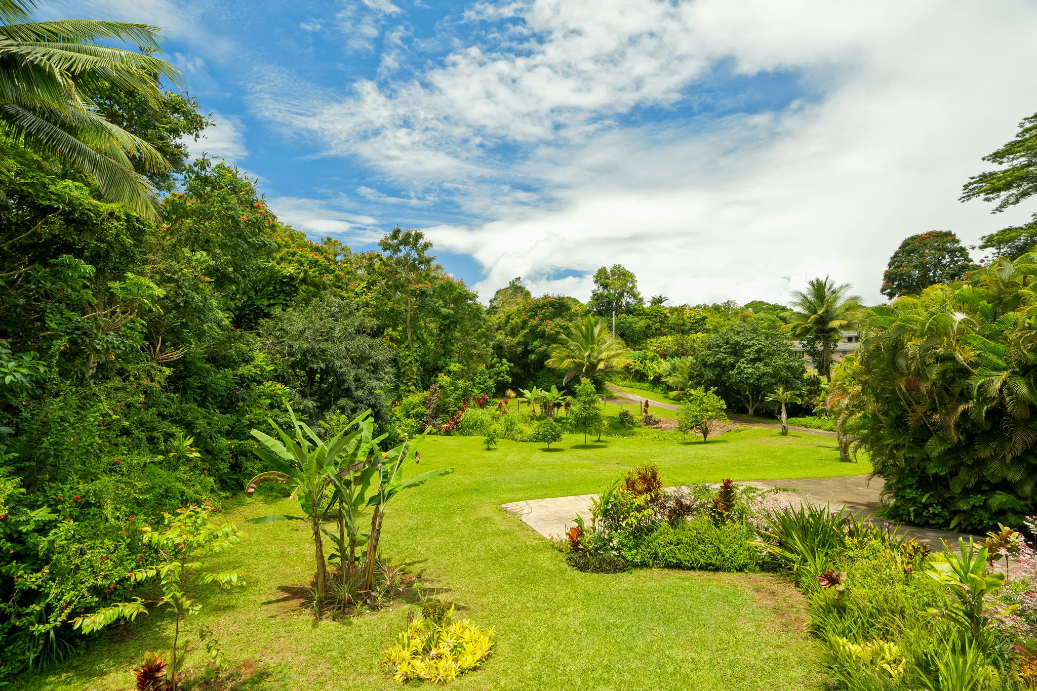 6240 Olohena Road Kapaa, HI 96746 - Photo 8 of 30 Gallery Image 8