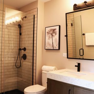 336 South School Street, Unit 336 Mount Prospect, IL 60056 - Photo 6 of 11 a bathroom with a sink toilet and shower