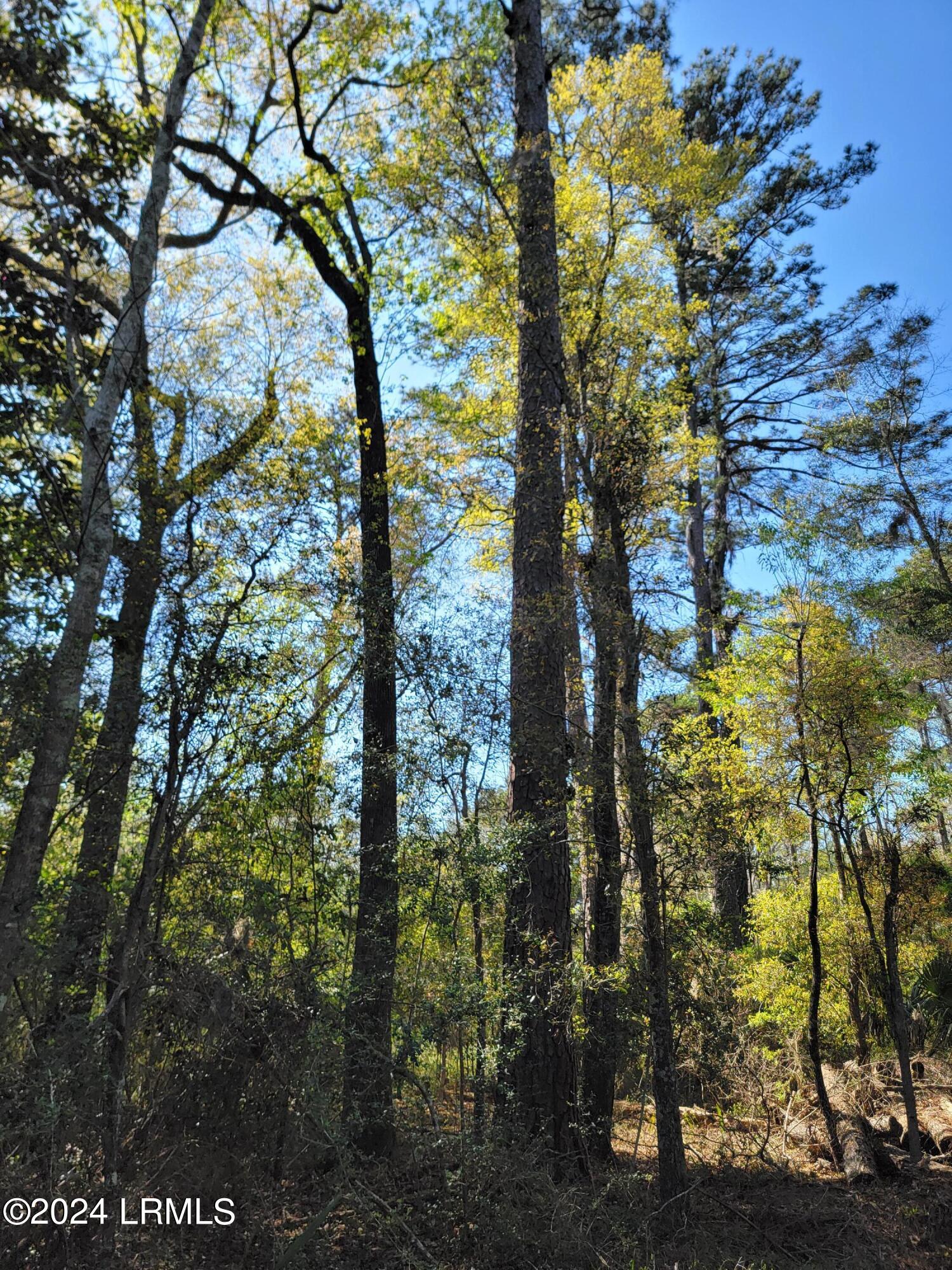 980 Sams Point Road Beaufort, SC 29907 - Photo 1 of 20 20240319_155758